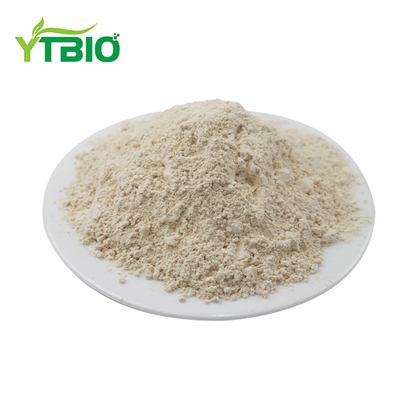 Diosgenin Powder